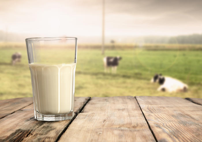 Glass med melk med kuer i bakgrunn